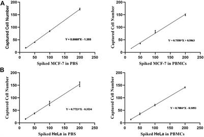 Development of Metal-Organic Framework-Based Dual Antibody Nanoparticles for the Highly Specific Capture and Gradual Release of Circulating Tumor Cells